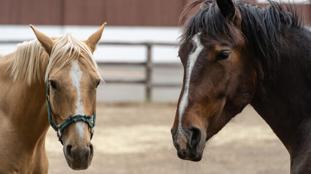 2026年度GW休業のお知らせ